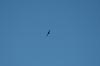 2005-04-15_002sm