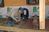 2005-04-15_003sm