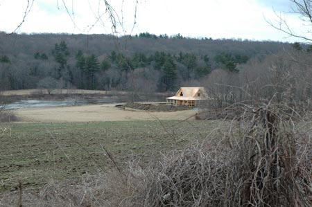 2005-04-03_005