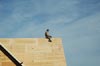 2005-03-16_001sm