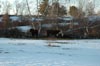2005-03-16_004sm