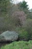 2005-05-15_005sm